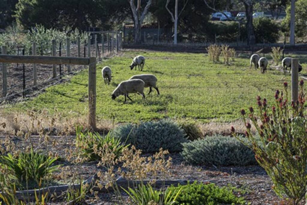 Casale Barossa Valley *